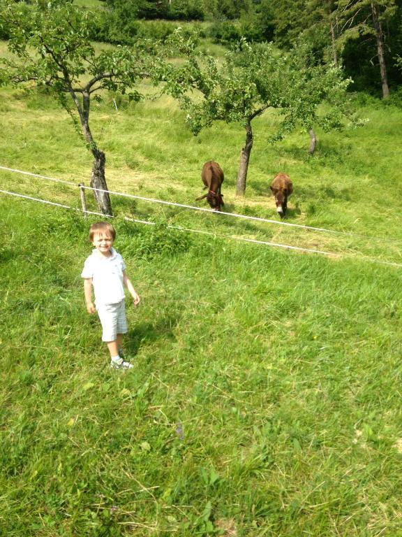 Aparthotel Relais Fior di Bosco Folgaria Esterno foto